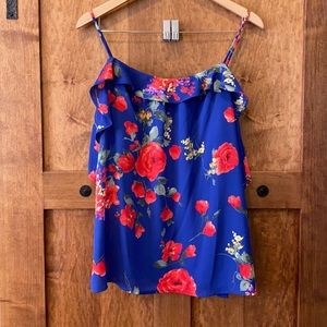 Skies are blue sleeveless blouse